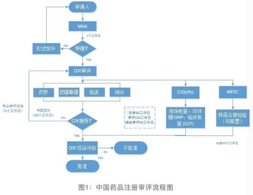 严谨创新,用成果诠释 一切为了患者 的初心