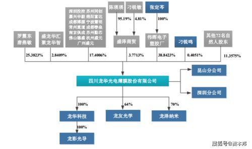 龙华薄膜新三板退市改道创业板,产品技术或成软肋