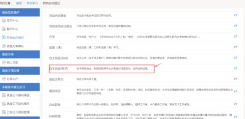 山东高校毕业生就业信息网 其他去向登记流程说明 2021届